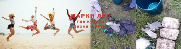прущие грибы Вязьма