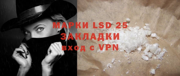 прущие грибы Вязьма