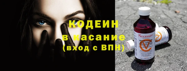 прущие грибы Вязьма