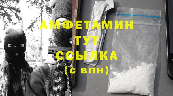 прущие грибы Вязьма