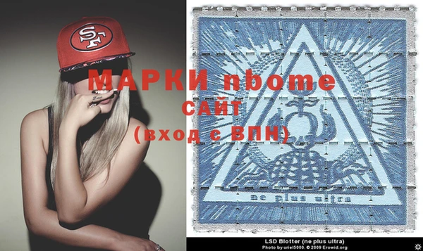 прущие грибы Вязьма