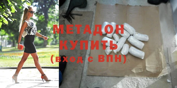 прущие грибы Вязьма