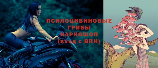 гидропоника Вяземский