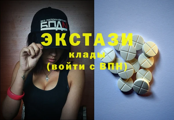 прущие грибы Вязьма